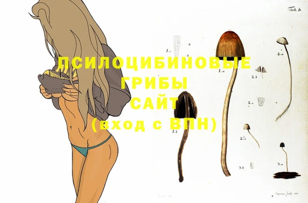 герыч Горнозаводск