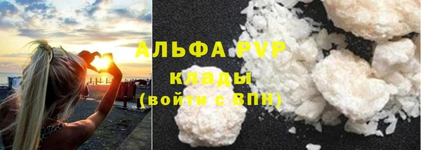 дживик Вяземский