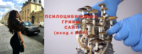 прущие крисы Вязники
